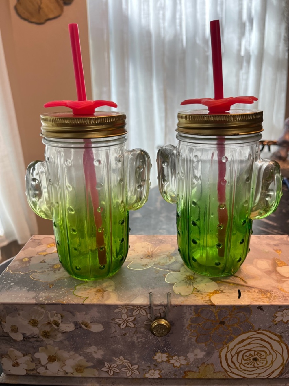 Source Unknown Green Ombre Cactus Glass Jars with Pink Flower Straws